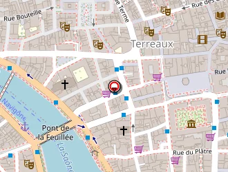 Carte de Picard Surgelés à Lyon