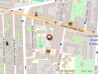 Carte de Edanka à Villeurbanne