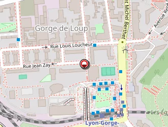 Carte de Lyon Roller à Lyon