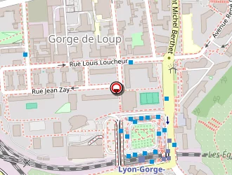 Carte de Ecoles Maternelles à Lyon