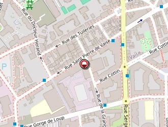 Carte de Hôtel Saphir à Lyon