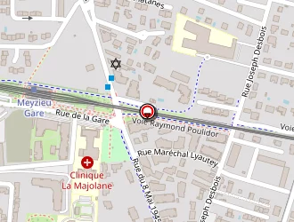 Carte de Zaragoza Mickaël à Meyzieu