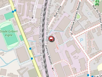 Carte de Le Petit Loup à Lyon