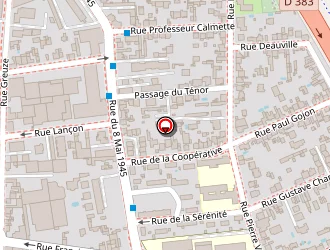 Carte de Collège Les Iris à Villeurbanne