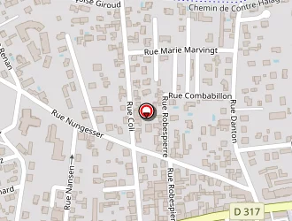 Carte de Espace Verres à Décines-charpieu