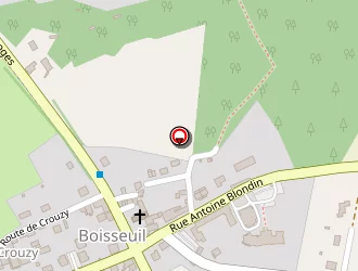 Carte de Celio à Boisseuil