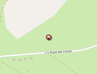 Carte de Eccher Alain à Condat-sur-vienne