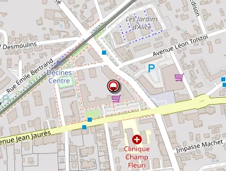 Carte de Tisserand Marie à Décines-charpieu