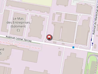 Carte de France Casse à Meyzieu