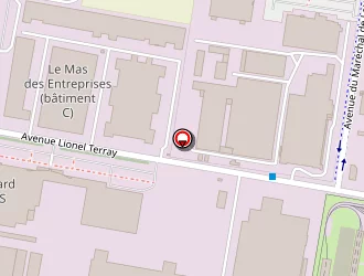 Carte de Elec2g à Meyzieu