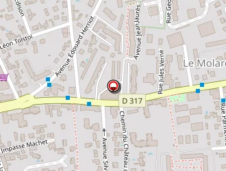 Carte de Lacotte Dominique à Décines-charpieu