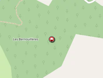 Carte de Cassard Didier à Chambost-longessaigne