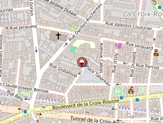 Carte de Ponzoni Fabrice à Lyon