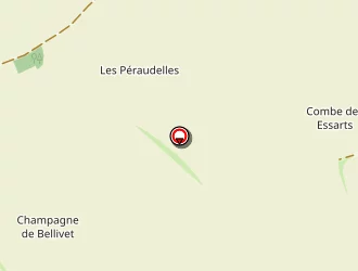 Carte de Viaud Gérard à Saintes