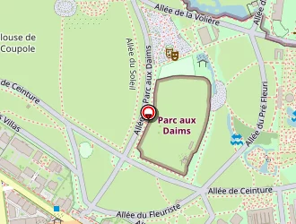 Carte de Idinum à Lyon