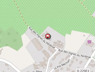 Carte de Boimoraud Janny à Burie