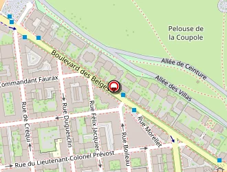 Carte de Dausque Emmanuel à Lyon