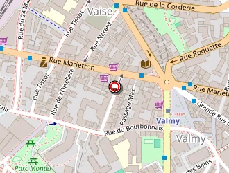 Carte de Garage Roubi à Lyon