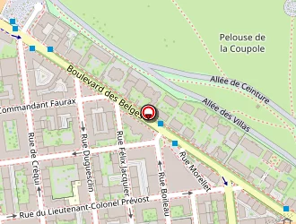 Carte de Carrefour City à Lyon