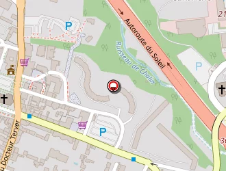 Carte de Taxi Prestige à Écully