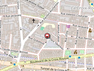 Carte de Picard Surgelés à Lyon