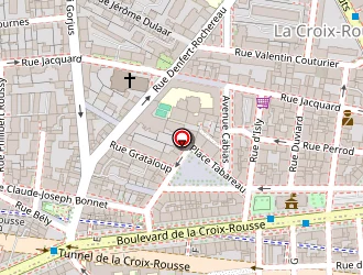 Carte de Rodrigue Josiane à Lyon