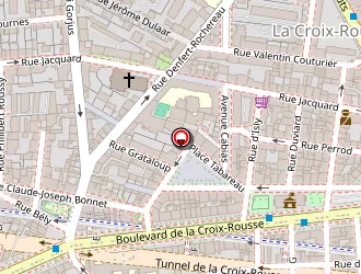 Carte de Distrib Serrurerie à Lyon