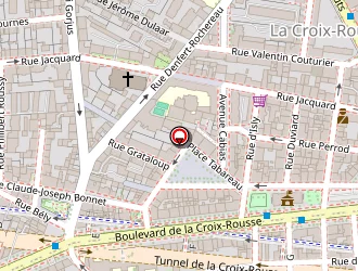 Carte de Camps Hervé à Lyon