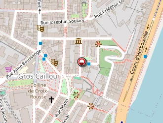 Carte de Garage Du Lion à Lyon