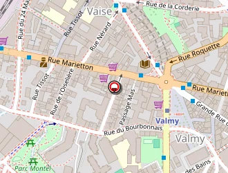 Carte de Ademi Enver à Lyon