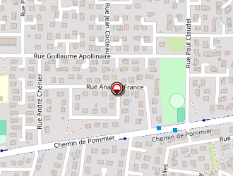 Carte de Zidane Fatima à Meyzieu