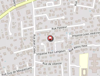 Carte de Guilloud David à Meyzieu