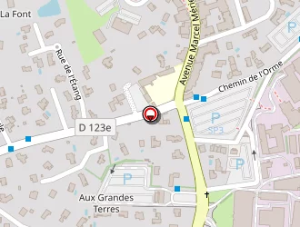 Carte de Bernard Loic à Marcy-l'étoile