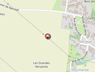 Carte de Dupeux Alain à Saintes