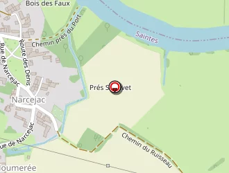 Carte de Chartier David à Saintes