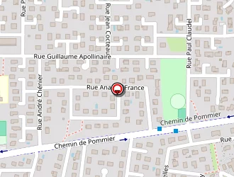 Carte de Lienard Eric à Meyzieu