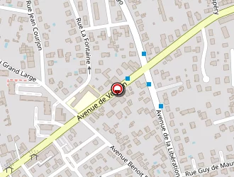 Carte de Vauchey Gérard à Meyzieu