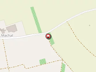 Carte de Cars Vo à Dallet