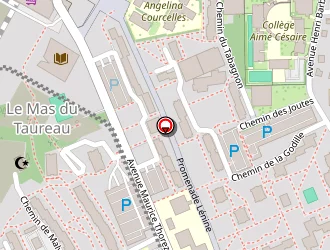 Carte de Fée Florale à Vaulx-en-velin