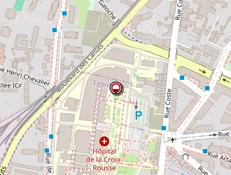 Carte de Cultures à Lyon