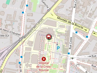 Carte de Le Rocking Chair à Lyon