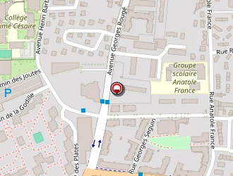 Carte de Nesmoz Bruno à Vaulx-en-velin