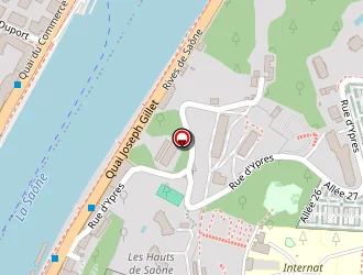 Carte de Miquel Jean-loup à Lyon