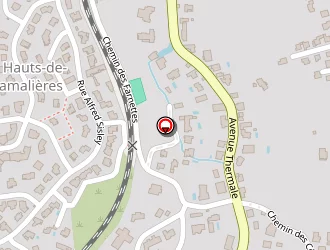 Carte de Tichit Michelle à Chamalières