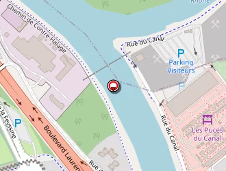 Carte de Lyon Graphique à Villeurbanne