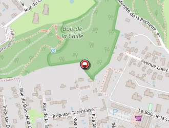 Carte de Pallas Yannick à Lyon