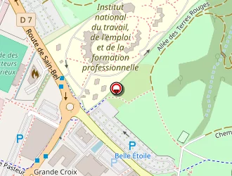 Carte de Paget Flavien à Marcy-l'étoile