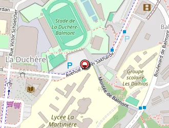 Carte de Auto Ecole Balmont à Lyon