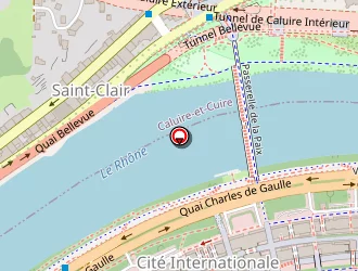 Carte de Le Bistrot Rive Gauche à Lyon