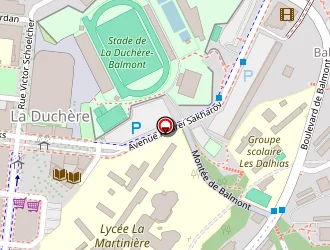 Carte de Chikha Kalii à Lyon